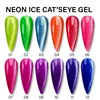 12 colori