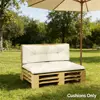 Cream White Color