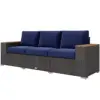 Navy Color