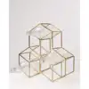 multi