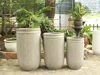 Antique Grey