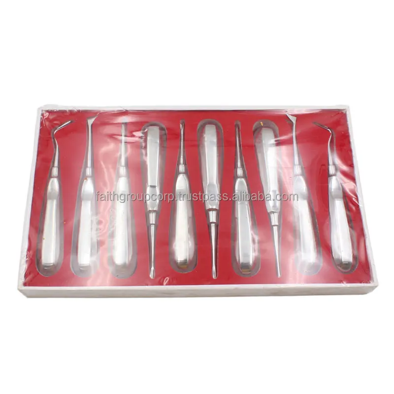 Dentist Surgical Tools Dental Elevator Teeth Extraction Tooth