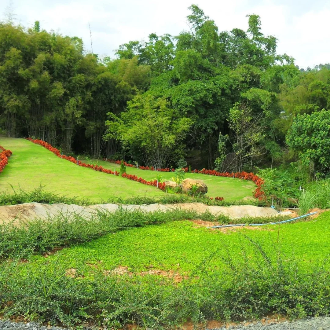 Удивительные туристические службы Таиланда рядом с популярным национальным парком в провинции Кхао