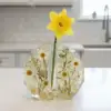 Transparent