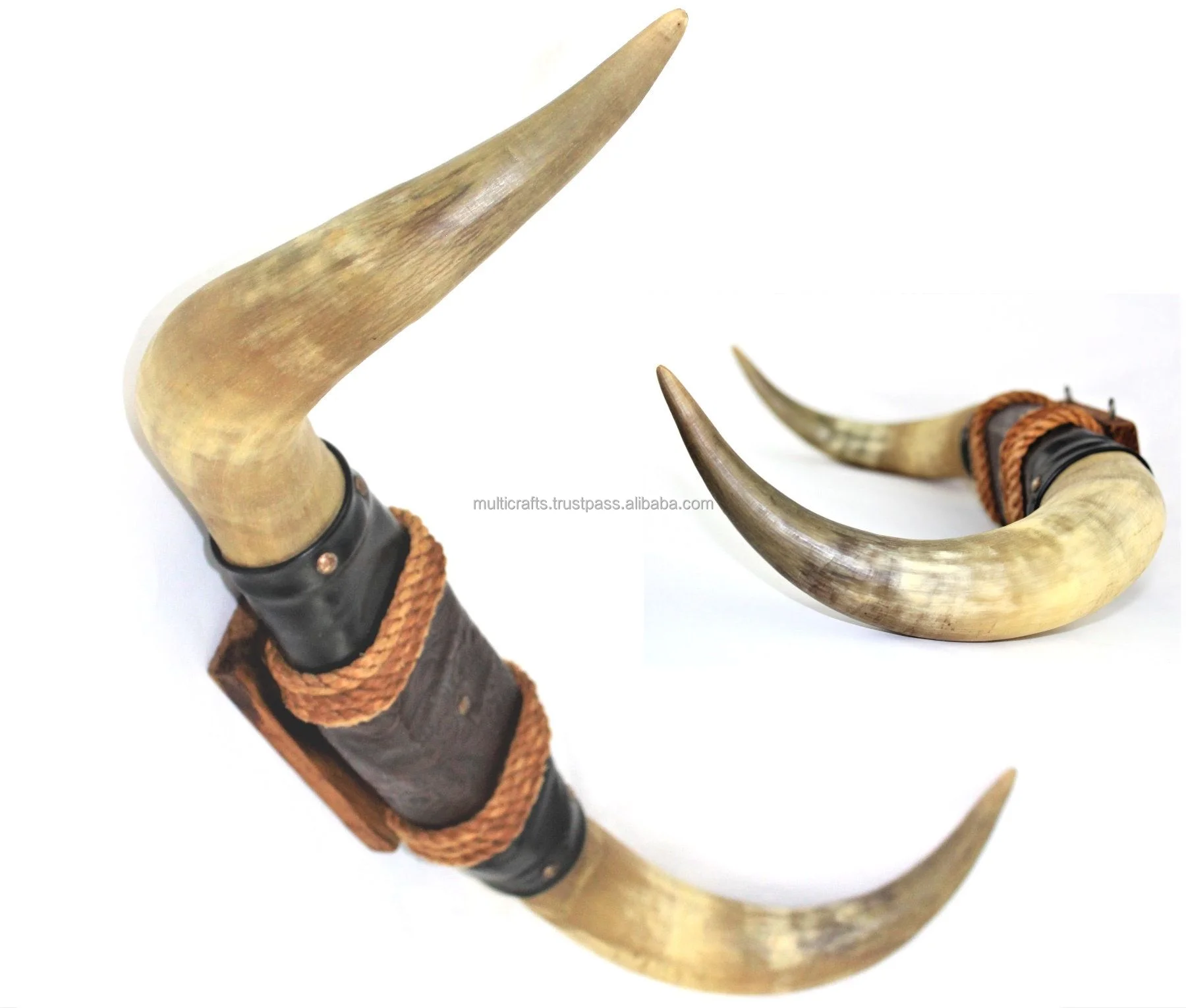 Stylish Cow Horn Made Mounted Wall Decor Buffalo Cow Horn Mounted Luxury Home Decor Accessories
