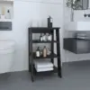 Black Color