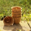 Macetas de fibra de coco para germinación