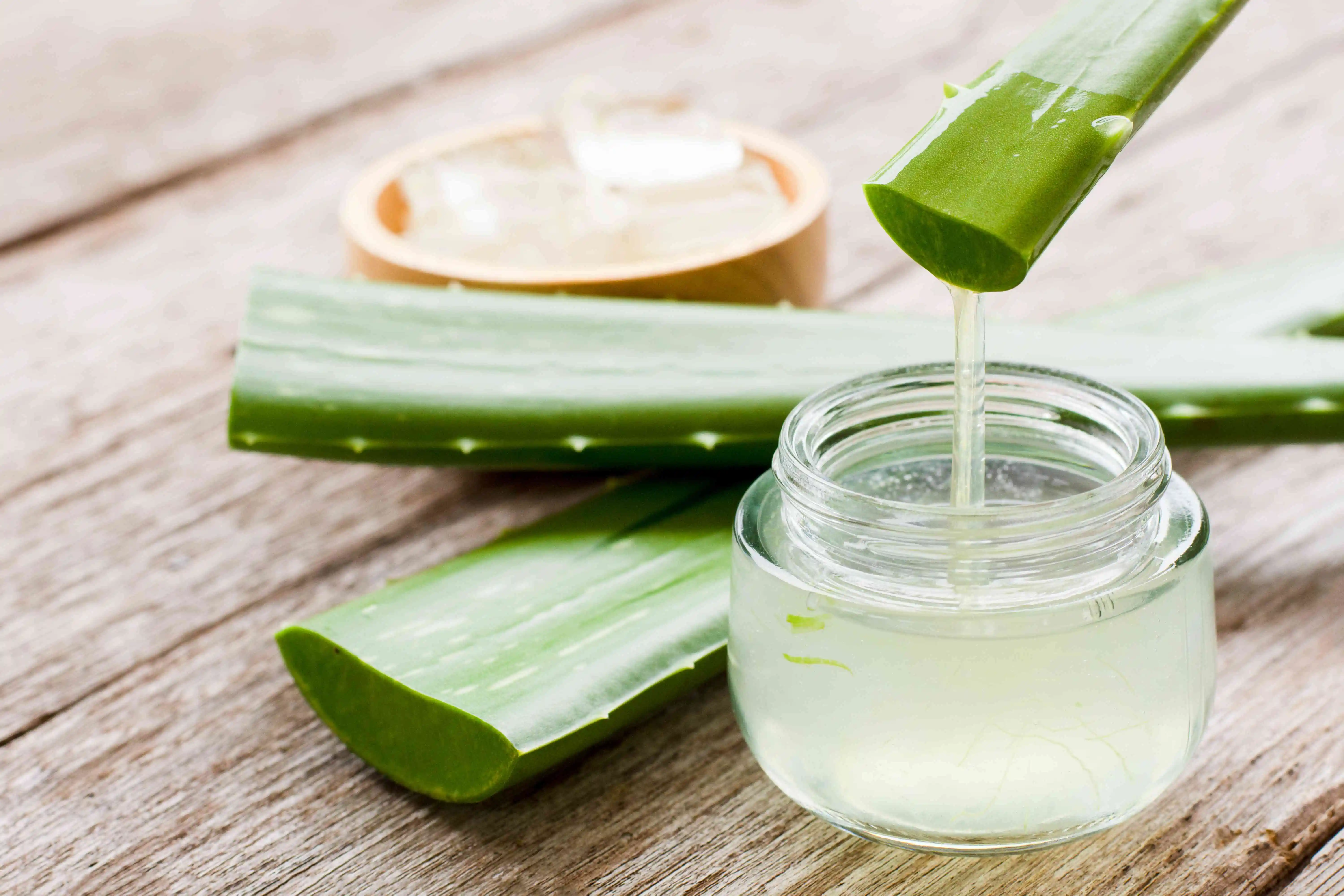 Premium Bulk Aloe Vera Gel - Export Deals from Vietnam