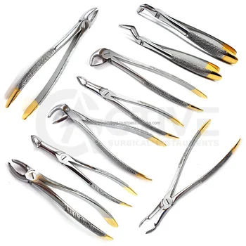 Stainless Steel Surgical Dental Extraction Forceps Tooth Extracting ...