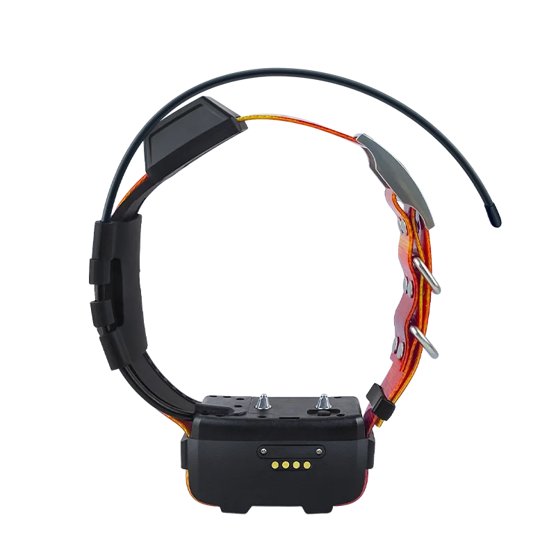 Bird dog tracking system IPX7 waterproof hunting dog collar GPS hunting dog tracking system GPS / 4G tracking device