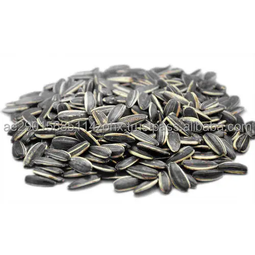 sunflower seed.jpg