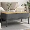 Gray Color