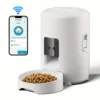 WIFI Control - White - Type 1