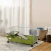 Green Color