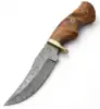 honey-Brown Burl Wood