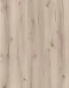 AE 40