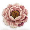 Rose poussiéreux