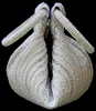 Bianco caldo