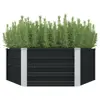 Anthracite Color