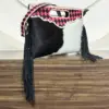 Pink & Black Checkered