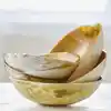 Natural Horn Color
