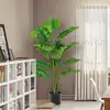 Green Color