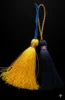 Customized Colors
