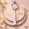 Serving/Soup Spoon