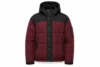 Black Burgundy