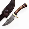 Stag Horn