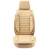 Beige Color
