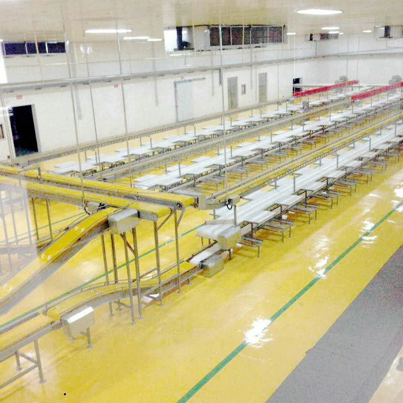 Cow/Sheep/Goat/Camel Complete Turnkey Modern Slaughterhouse/Abattoir