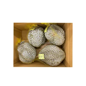 100% Fresh Durian Premium Frozen Durian Premier