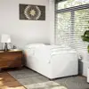 White Color