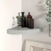Grey Color