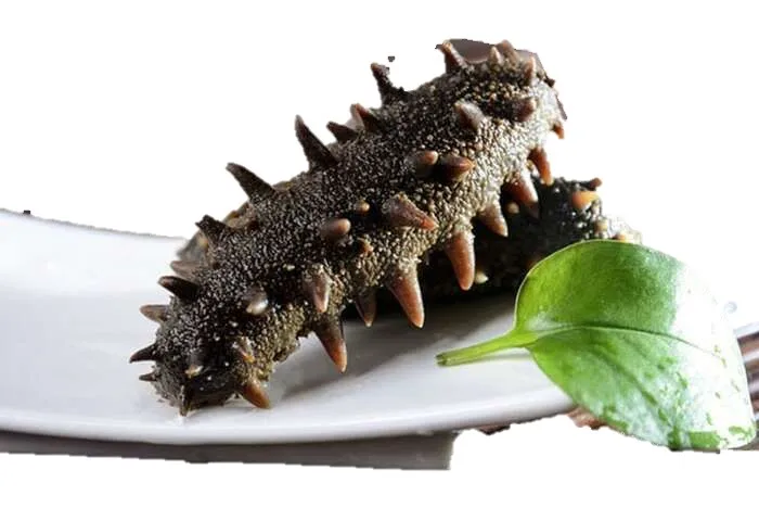 DRIED SEA CUCUMBER HIGH QUALITY WITH COMPETITIVE PRICE FROM VIETNAM