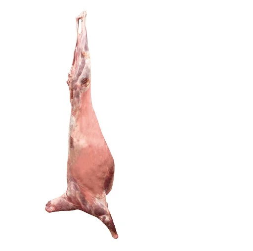 high quality freshly frozen lamb meat/ halal mutton/goat carcass