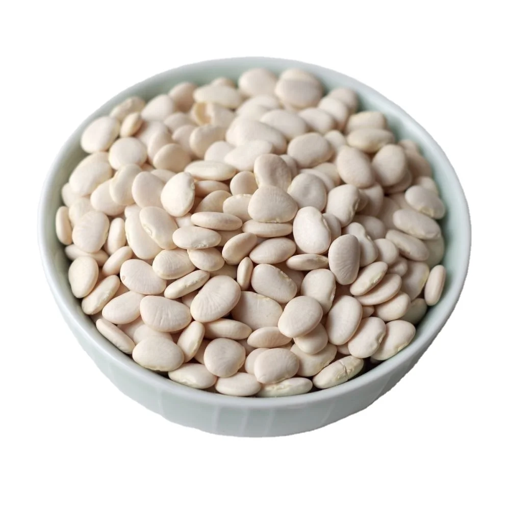 white beans butter bean best quality