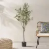 Green Color