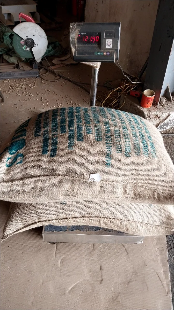 [free Sample] Experienced and Prestigious Exporter of ARABICA GREEN COFFEE BEANS with Full Certificates +84363565928