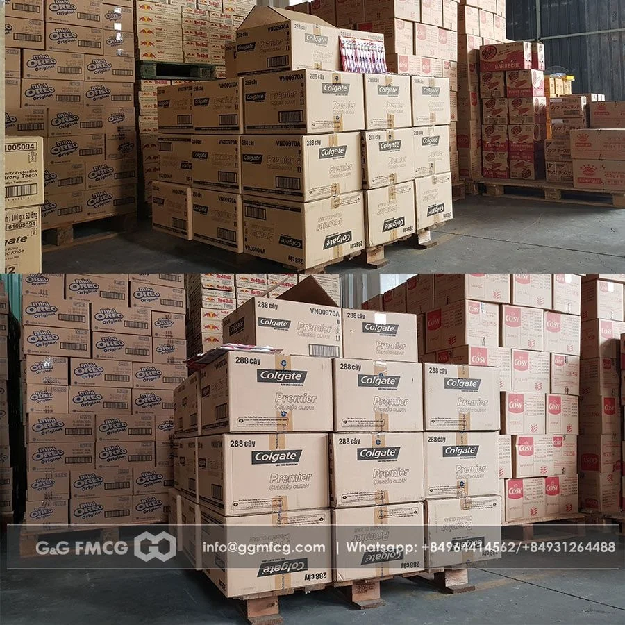 Colgate Toothbrush Premier Clean Pack 12/ Vietnam Wholesale Colgate ...