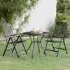 Anthracite Color