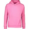 RASPBERRY Color