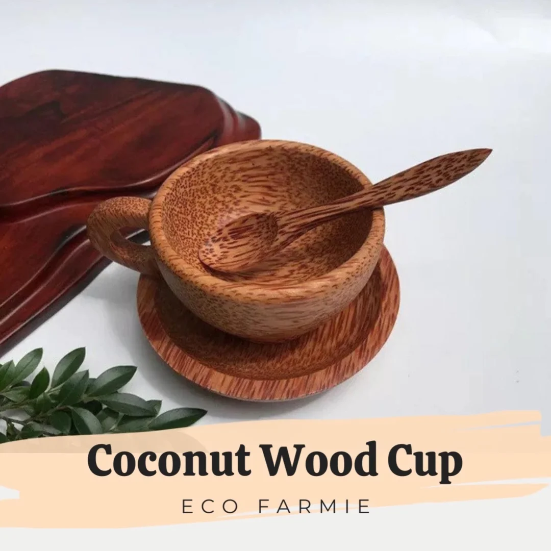 Eco Friendly Compostable Coconut Wood Cup Wooden Tea Cups And Saucers ...