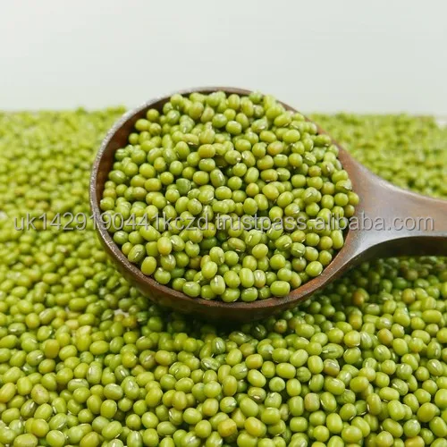 fresh-green.jpg