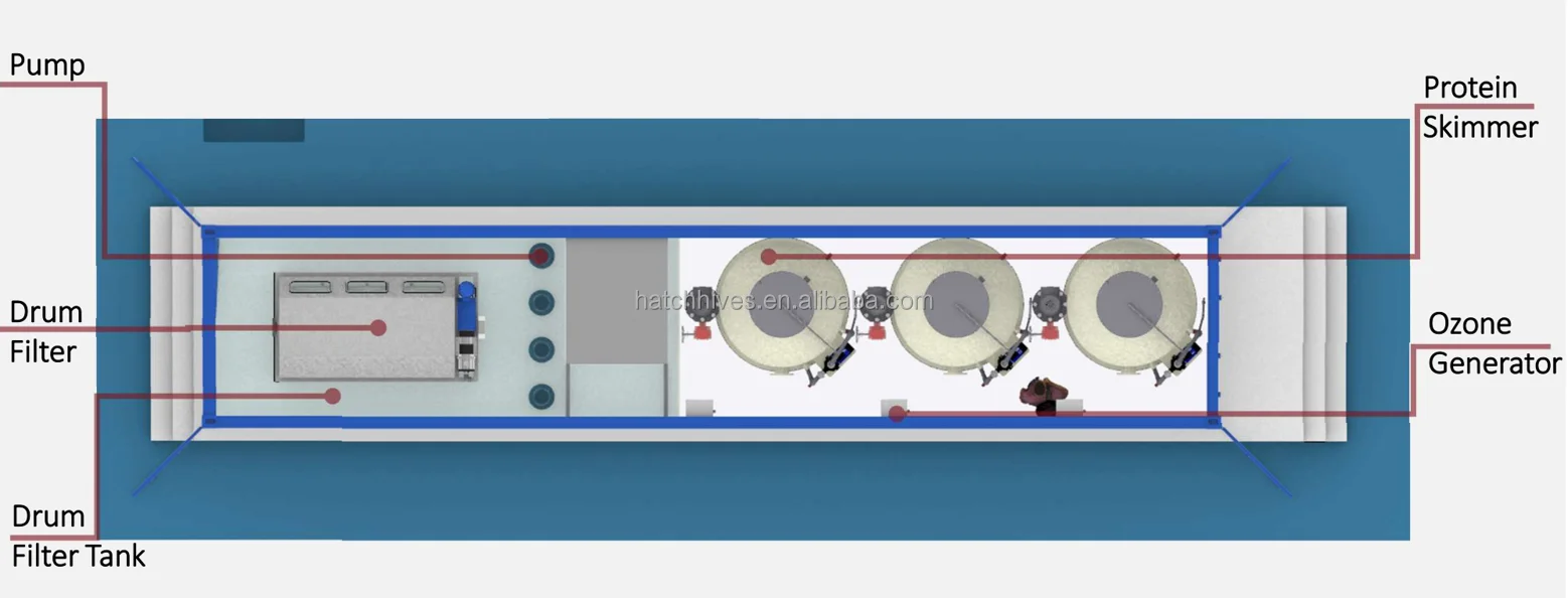 Indoor Vannamei Shrimp Completely Closed-loop RAS Aquaculture Equipment ...