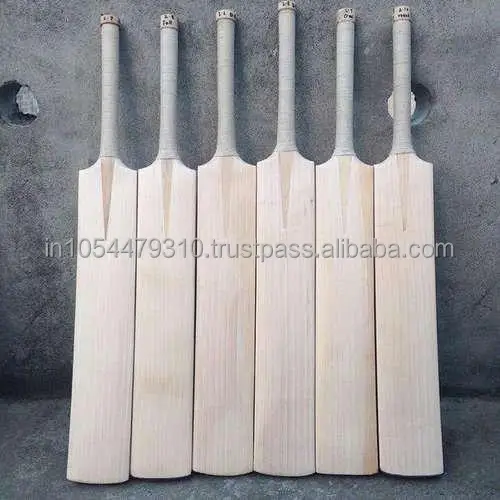kashmir willow bat.jpg