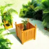 Teak Color
