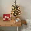 Eat drink and be merry Color