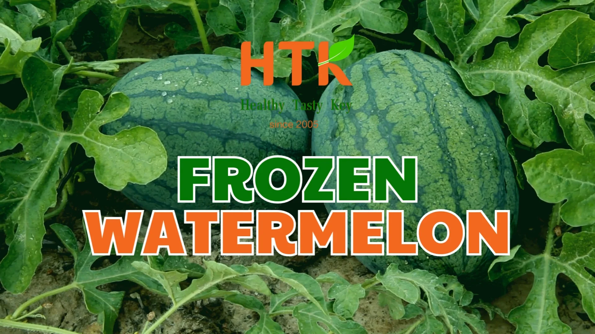 Peak Season Frozen Iqf Watermelon Sliced Stick Cube Chunk Diced Made In